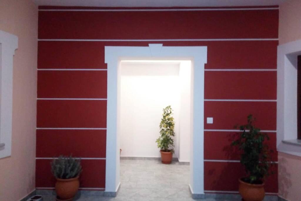 Meandros Apartment Garden View سكوبيلوس تاون المظهر الخارجي الصورة